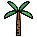 Palmera