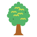 árbol icon