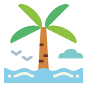 palmera icon