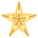 estrella de mar icon