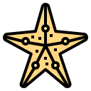 estrella de mar icon