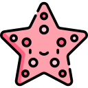 Estrella de mar 