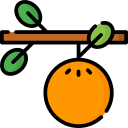 Fruta icon