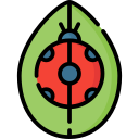 Mariquita icon