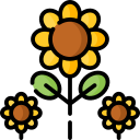 Girasol icon