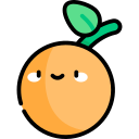 Naranja icon