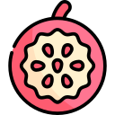 Fruta de la pasión icon