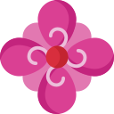 Diseño floral icon