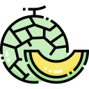 melón icon