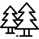 pines icon