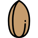 almendra icon