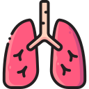 Pulmones icon