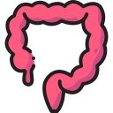 Colon icon