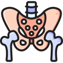 Pelvis icon