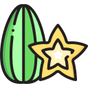 Carambola icon