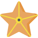 Estrella de mar icon