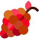 Uvas icon