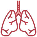 Pulmones