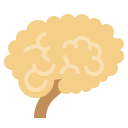 Cerebro icon