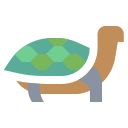 Tortuga icon