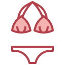 Bikini icon