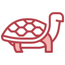 Tortuga icon