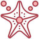 Estrella de mar icon