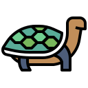 Tortuga icon