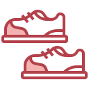 Zapatos icon