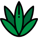 agave icon