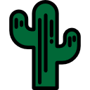 cactus icon