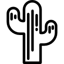 cactus icon