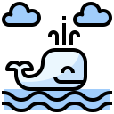 Ballena icon