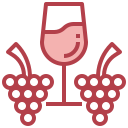 vino icon