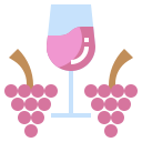 vino icon