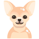 Perro icon