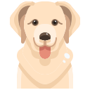 Perro icon