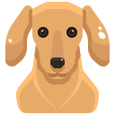 Perro icon