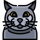 Gato icon