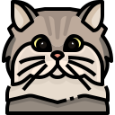 Gato icon