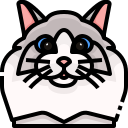 Gato icon