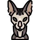 Gato icon