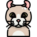 Gato icon