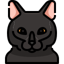 Gato icon