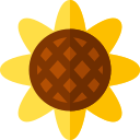 Girasol icon