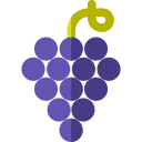 Uvas icon