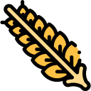 Wheat 