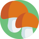 Seta icon