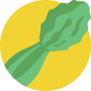 céleri 