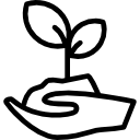 Sprout icon